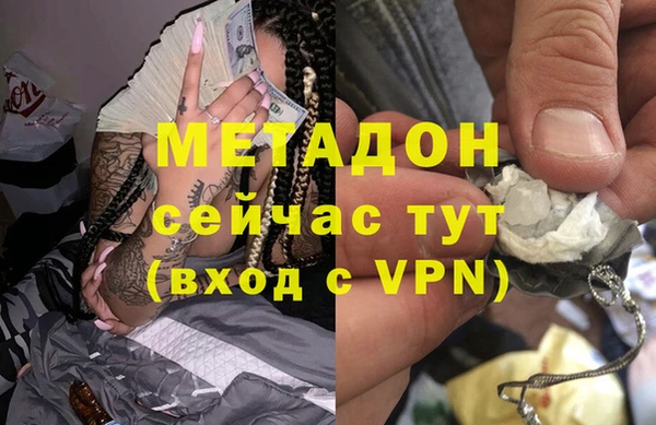 прущие грибы Балахна