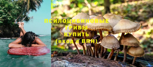 ECSTASY Баксан