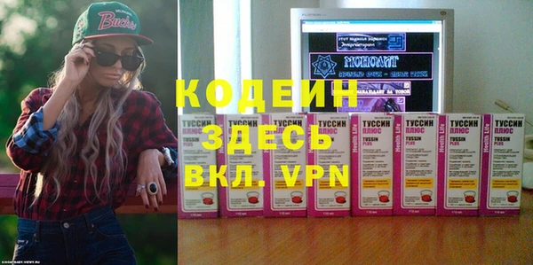 прущие грибы Балахна