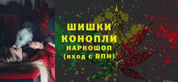 прущие грибы Балахна