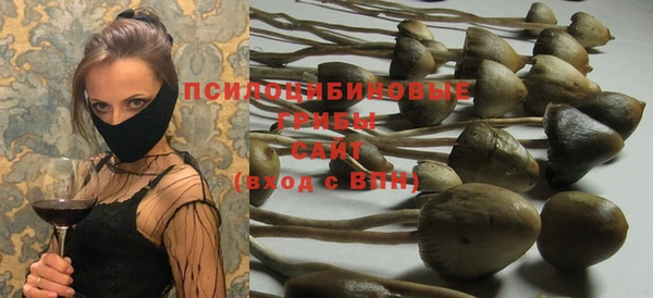 прущие грибы Балахна