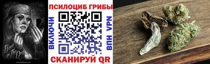 Псилоцибиновые грибы прущие грибы  где продают наркотики  Тетюши 